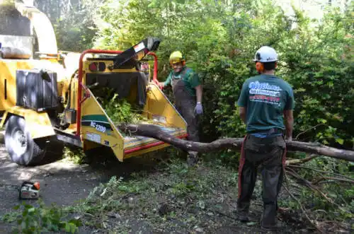 tree services Battle Creek